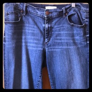 AnnTaylor Loft Blue Jeans